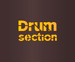 50 й выпуск микс шоу DRUM SECTION: микс Let the rhythm Flow от DJ F